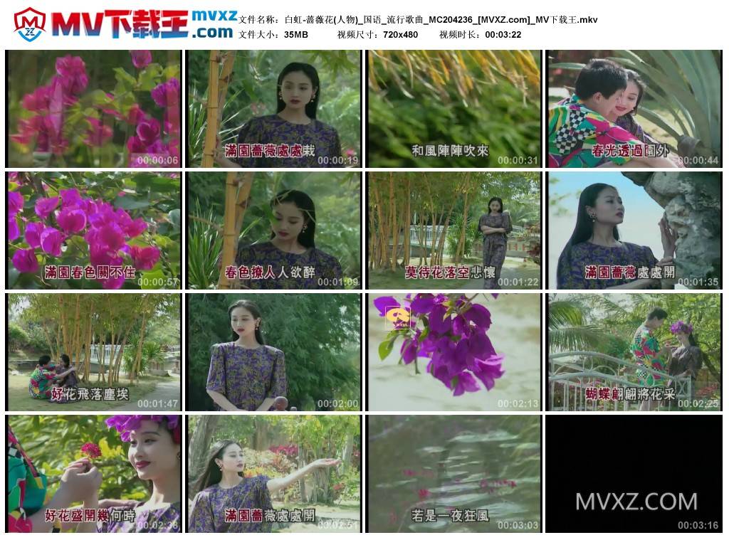 白虹-蔷薇花(人物)_国语_流行歌曲_MC204236